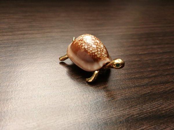 Die Schildkröte